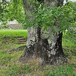 Casa Di Piera Дом отдыха *
