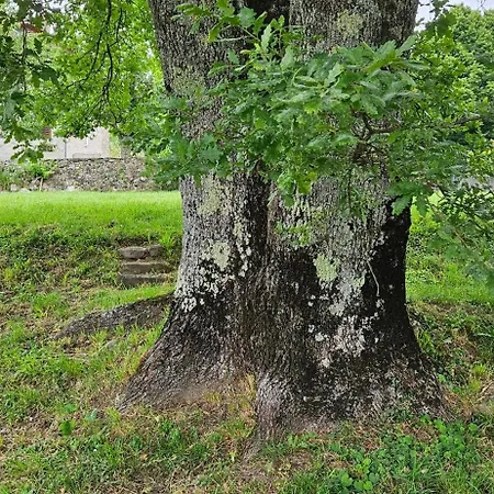 Prázdninový dům Casa Di Piera Bagni di Lucca